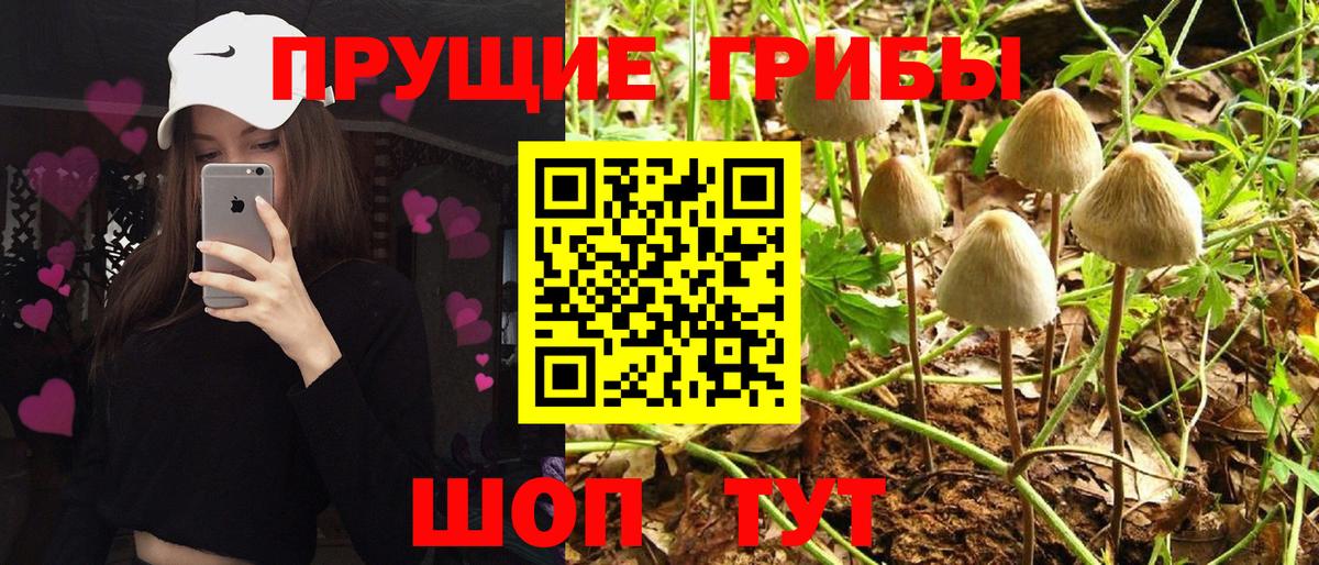 Псилоцибиновые грибы мицелий  Вход с VPN  Крымск 