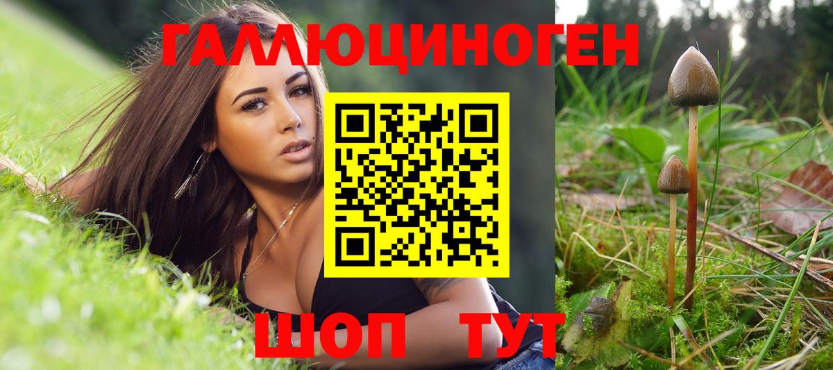 Галлюциногенные грибы MAGIC MUSHROOMS Крымск